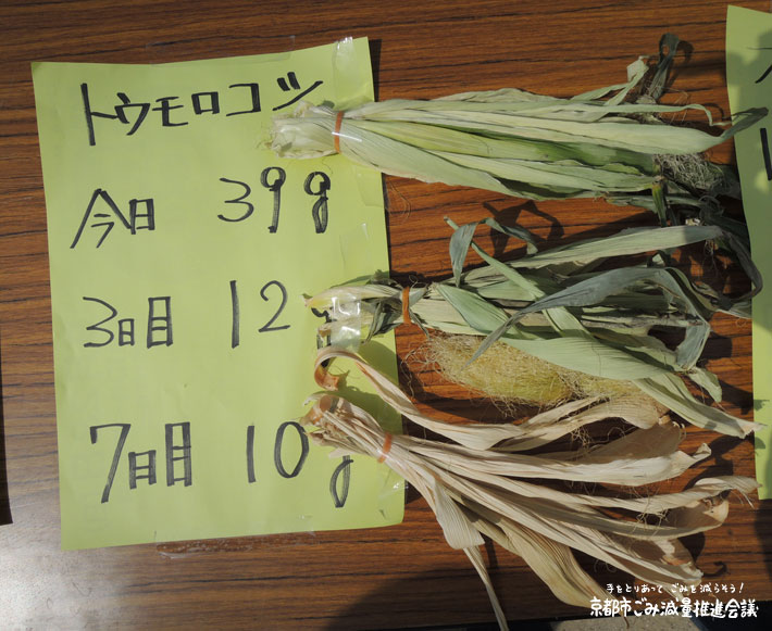 とうもろこしの皮も乾燥すればこんなに減ります。