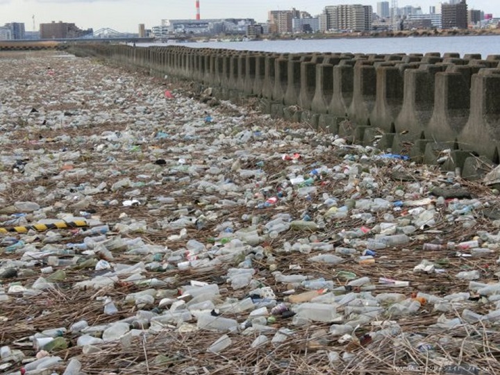 荒川河口付近(H28年2月撮影)